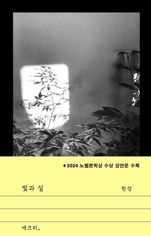 [2025년 6월] 빛과 실