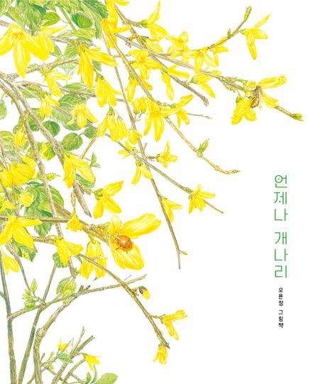 [26년 4월] 언제나 개나리